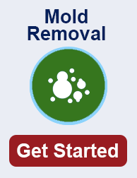 mold remediation in Downers Grove TN